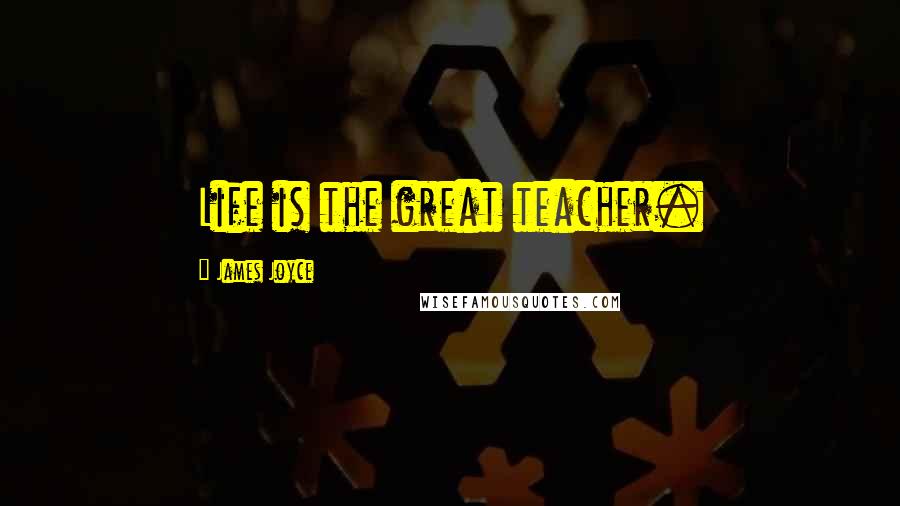 James Joyce Quotes: Life is the great teacher.