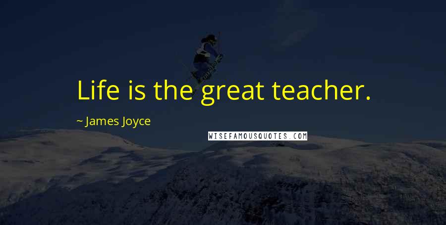 James Joyce Quotes: Life is the great teacher.
