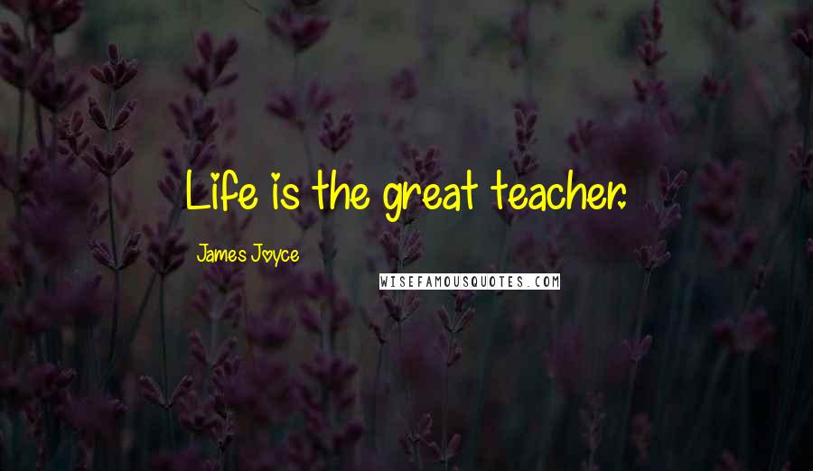 James Joyce Quotes: Life is the great teacher.