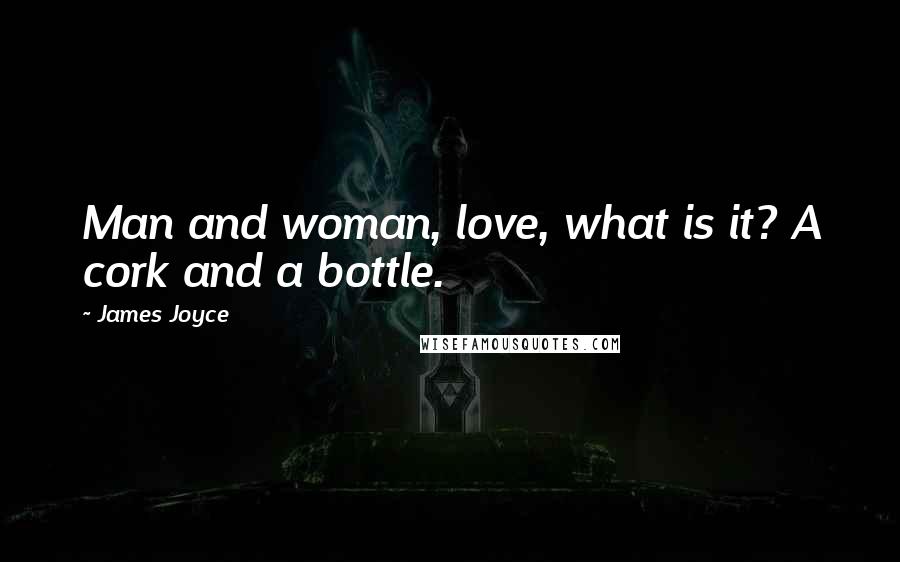 James Joyce Quotes: Man and woman, love, what is it? A cork and a bottle.