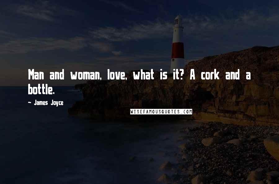 James Joyce Quotes: Man and woman, love, what is it? A cork and a bottle.