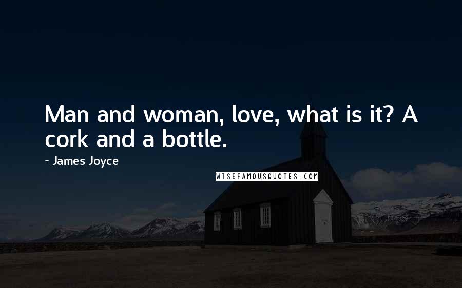 James Joyce Quotes: Man and woman, love, what is it? A cork and a bottle.