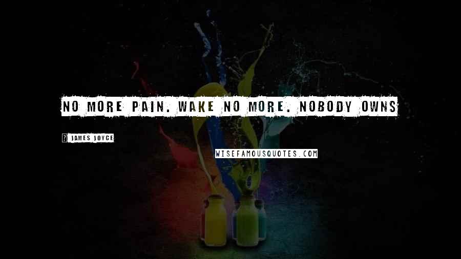 James Joyce Quotes: no more pain. wake no more. nobody owns