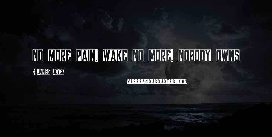 James Joyce Quotes: no more pain. wake no more. nobody owns