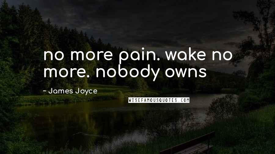 James Joyce Quotes: no more pain. wake no more. nobody owns