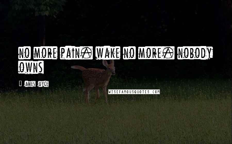 James Joyce Quotes: no more pain. wake no more. nobody owns