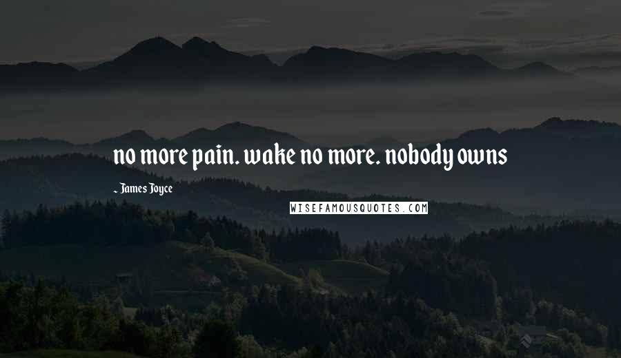 James Joyce Quotes: no more pain. wake no more. nobody owns