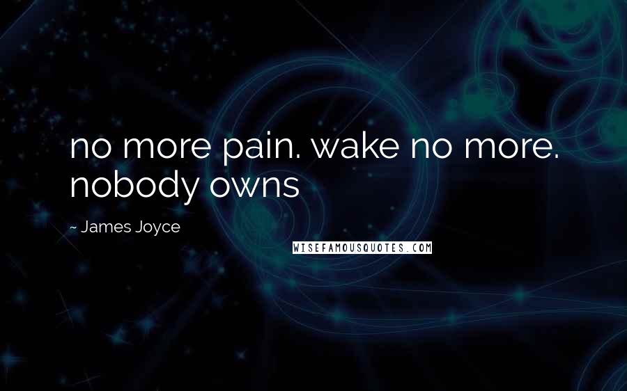 James Joyce Quotes: no more pain. wake no more. nobody owns