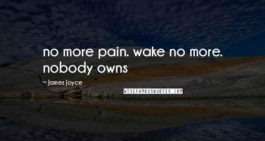 James Joyce Quotes: no more pain. wake no more. nobody owns