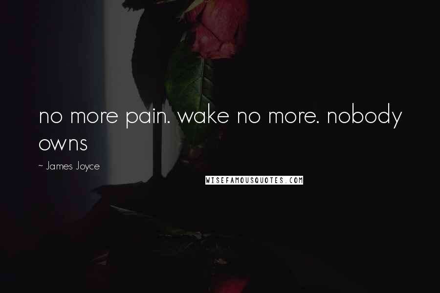 James Joyce Quotes: no more pain. wake no more. nobody owns