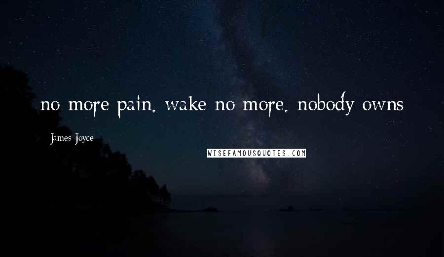 James Joyce Quotes: no more pain. wake no more. nobody owns