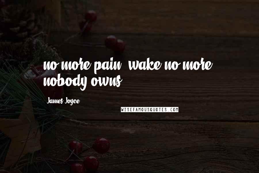 James Joyce Quotes: no more pain. wake no more. nobody owns