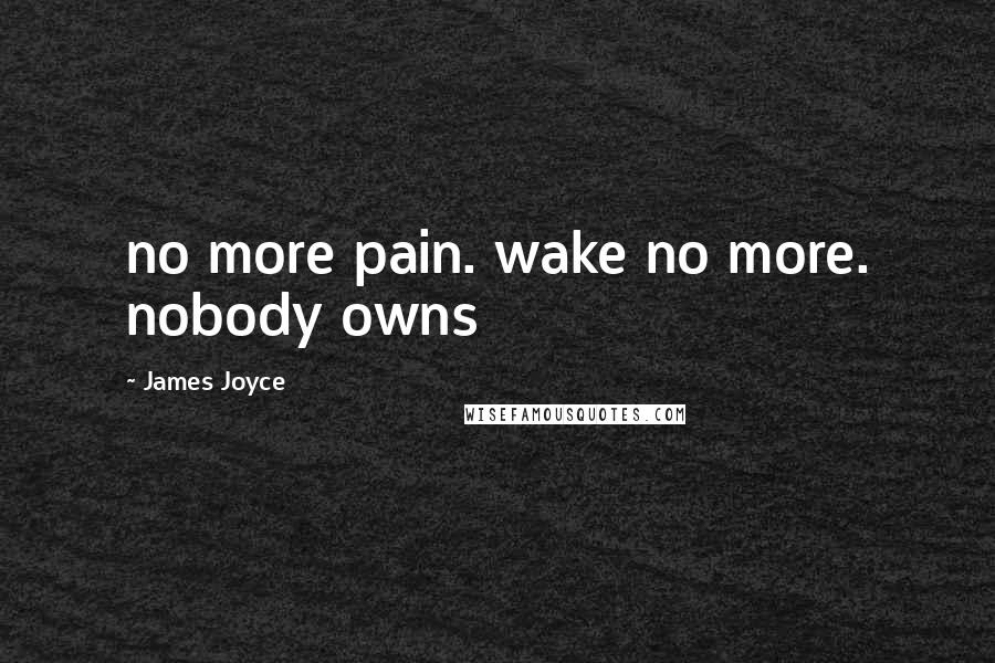 James Joyce Quotes: no more pain. wake no more. nobody owns