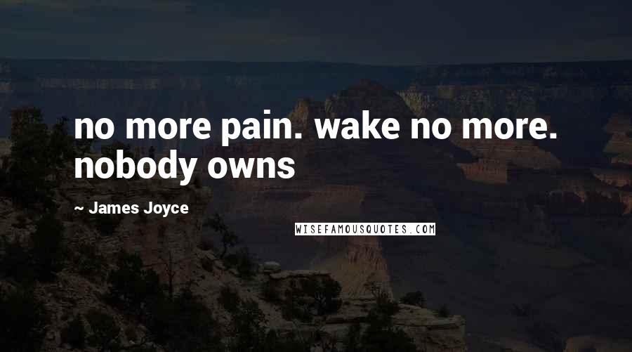 James Joyce Quotes: no more pain. wake no more. nobody owns