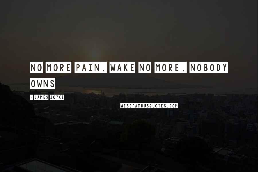 James Joyce Quotes: no more pain. wake no more. nobody owns