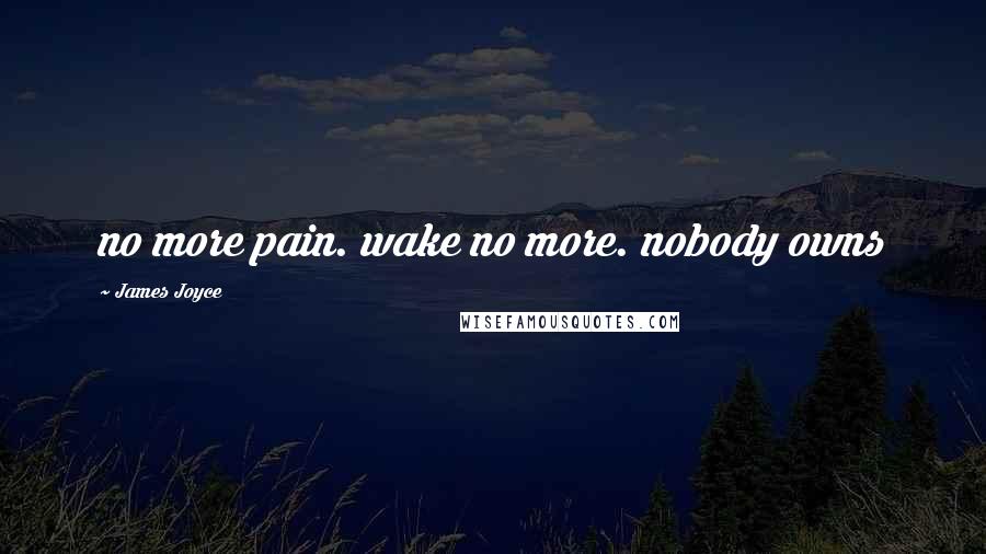 James Joyce Quotes: no more pain. wake no more. nobody owns