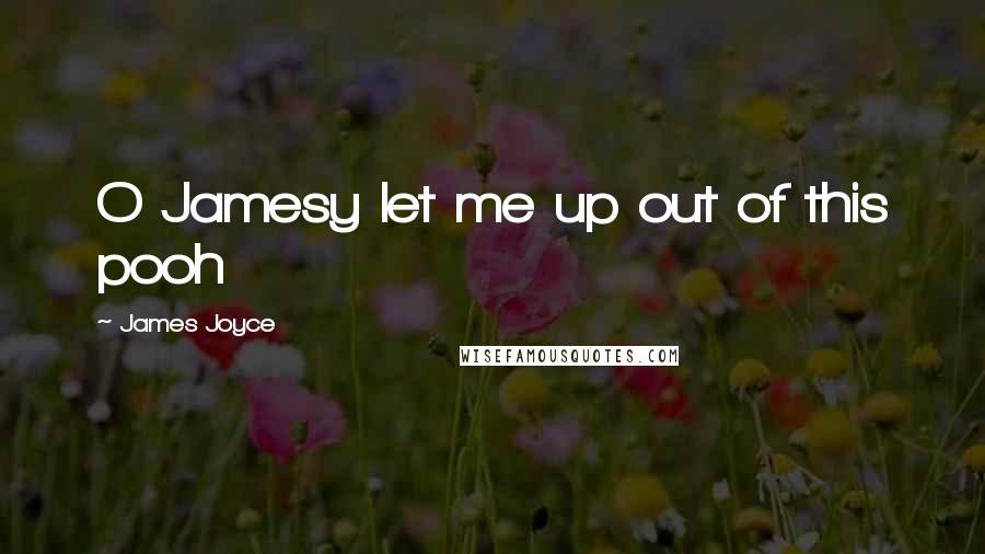 James Joyce Quotes: O Jamesy let me up out of this pooh