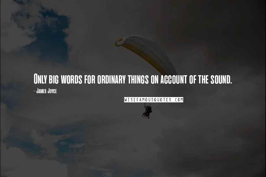 James Joyce Quotes: Only big words for ordinary things on account of the sound.