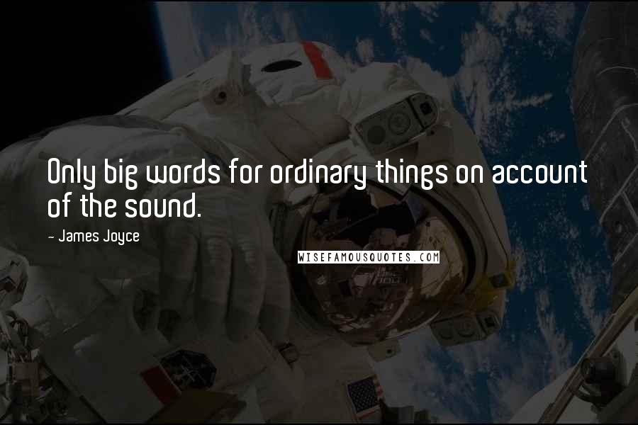James Joyce Quotes: Only big words for ordinary things on account of the sound.
