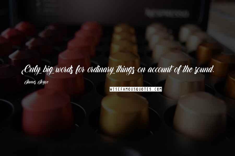 James Joyce Quotes: Only big words for ordinary things on account of the sound.