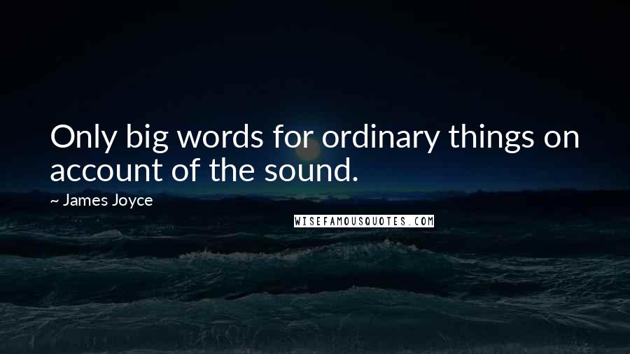 James Joyce Quotes: Only big words for ordinary things on account of the sound.