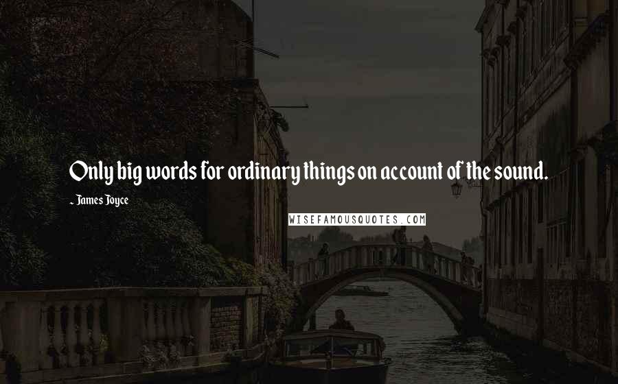 James Joyce Quotes: Only big words for ordinary things on account of the sound.