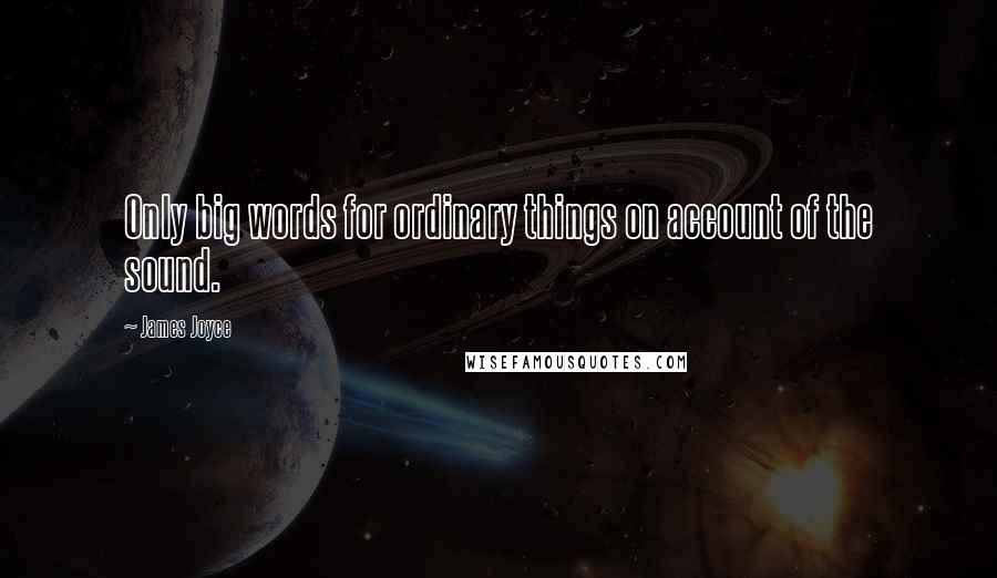 James Joyce Quotes: Only big words for ordinary things on account of the sound.