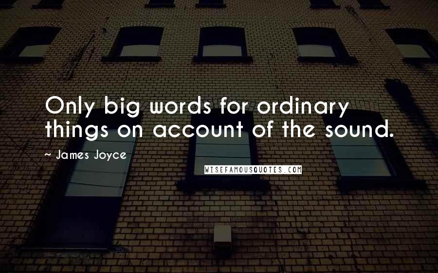 James Joyce Quotes: Only big words for ordinary things on account of the sound.