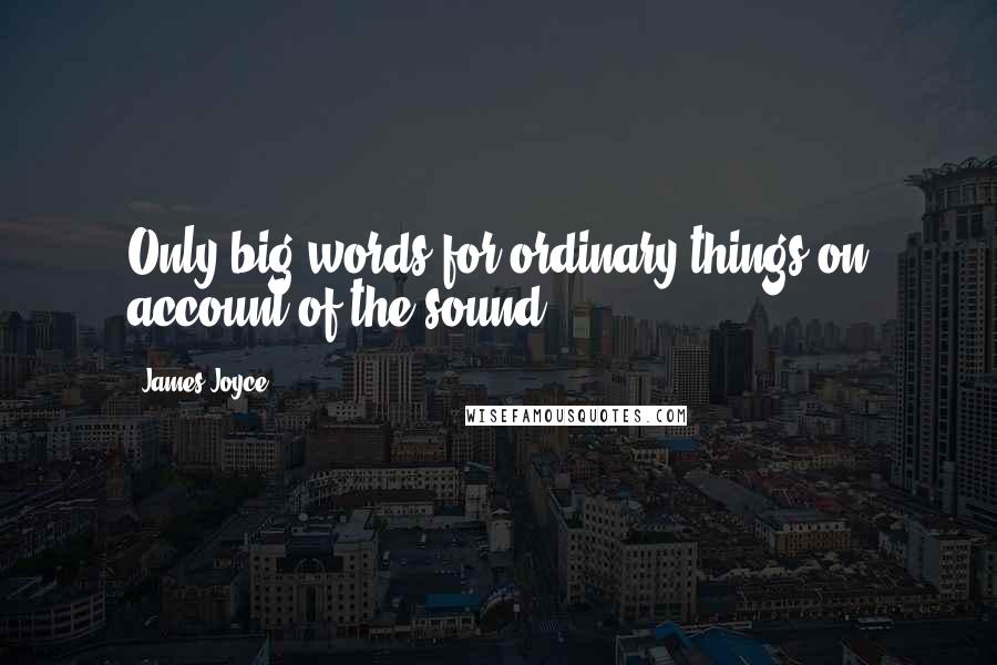 James Joyce Quotes: Only big words for ordinary things on account of the sound.