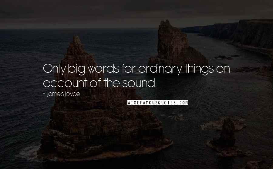 James Joyce Quotes: Only big words for ordinary things on account of the sound.