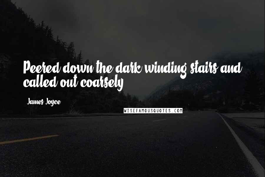 James Joyce Quotes: Peered down the dark winding stairs and called out coarsely: