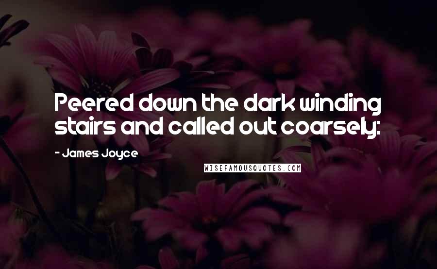 James Joyce Quotes: Peered down the dark winding stairs and called out coarsely: