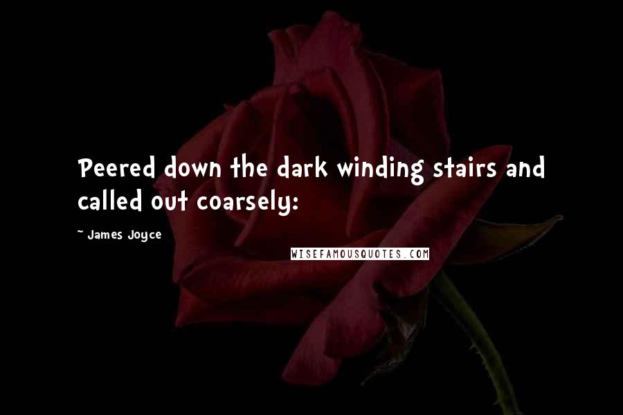 James Joyce Quotes: Peered down the dark winding stairs and called out coarsely:
