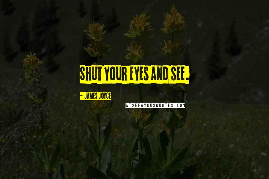 James Joyce Quotes: Shut your eyes and see.