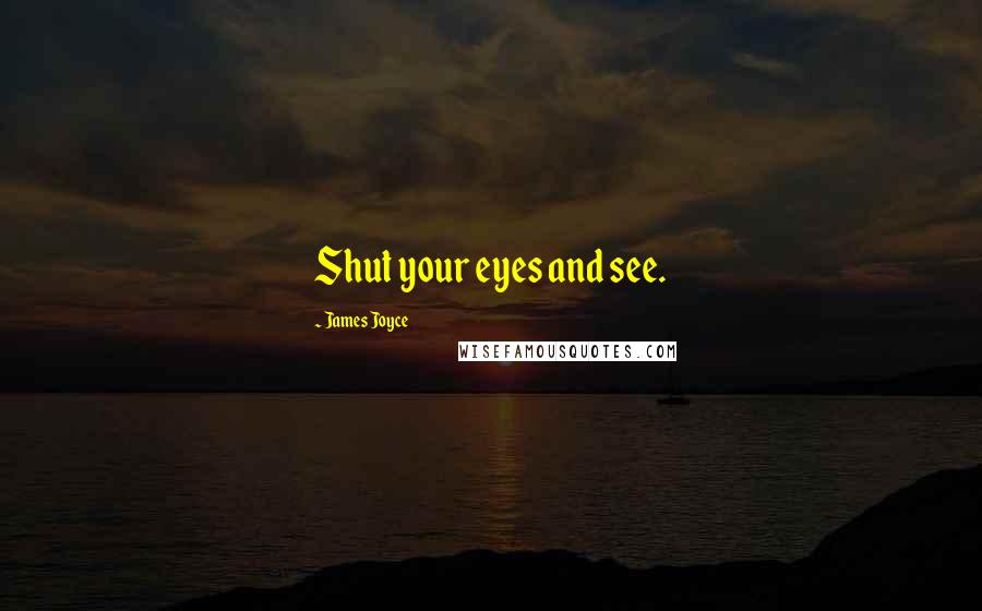 James Joyce Quotes: Shut your eyes and see.