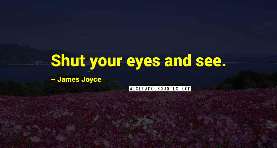 James Joyce Quotes: Shut your eyes and see.