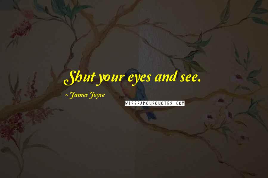 James Joyce Quotes: Shut your eyes and see.