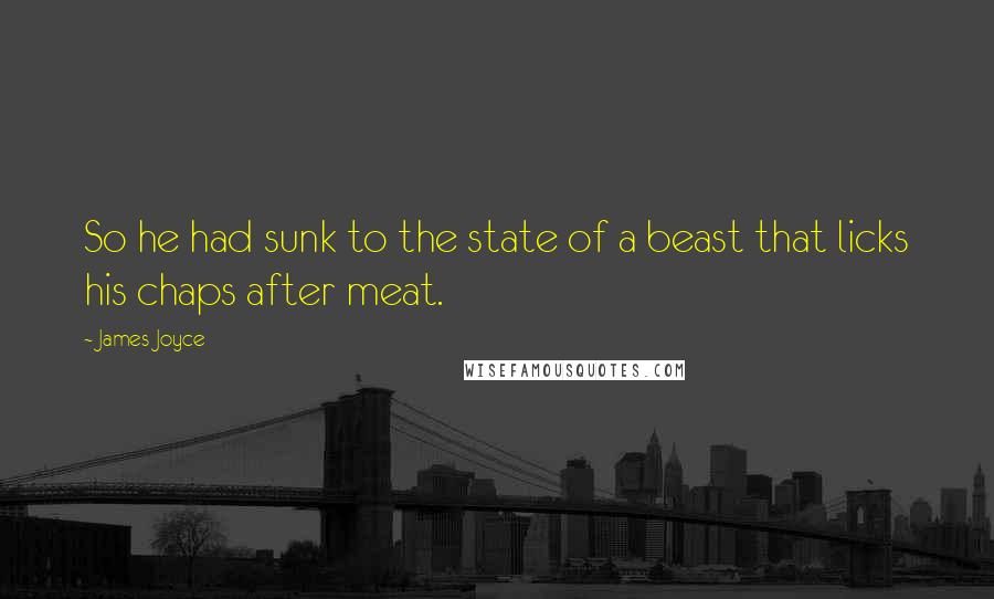 James Joyce Quotes: So he had sunk to the state of a beast that licks his chaps after meat.