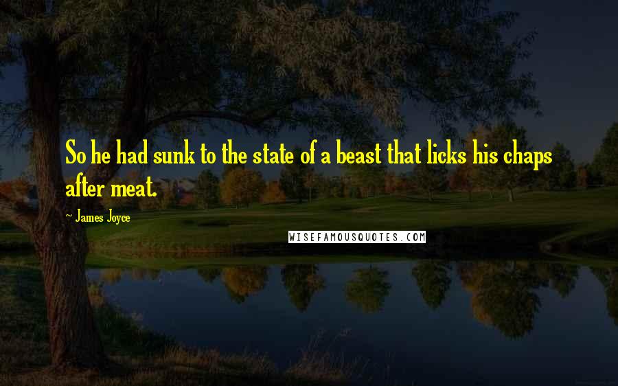 James Joyce Quotes: So he had sunk to the state of a beast that licks his chaps after meat.