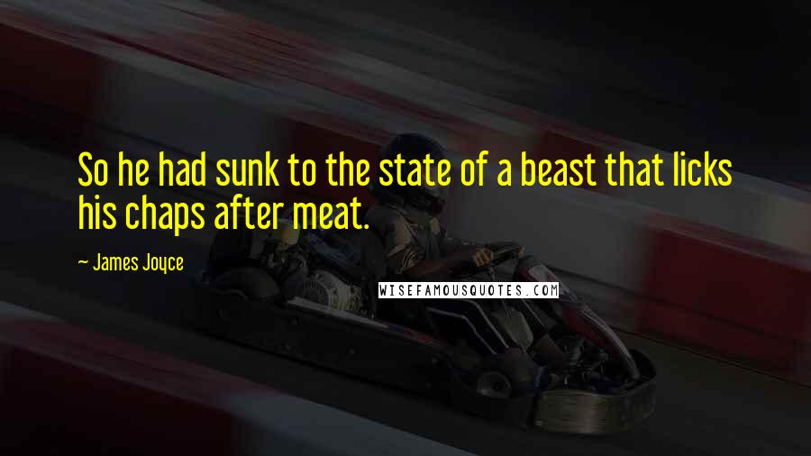 James Joyce Quotes: So he had sunk to the state of a beast that licks his chaps after meat.