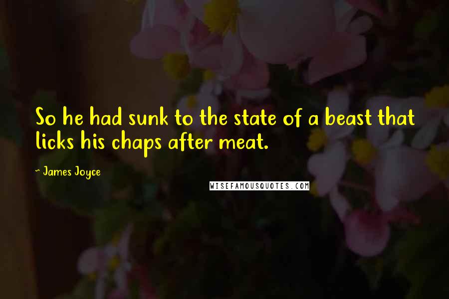 James Joyce Quotes: So he had sunk to the state of a beast that licks his chaps after meat.