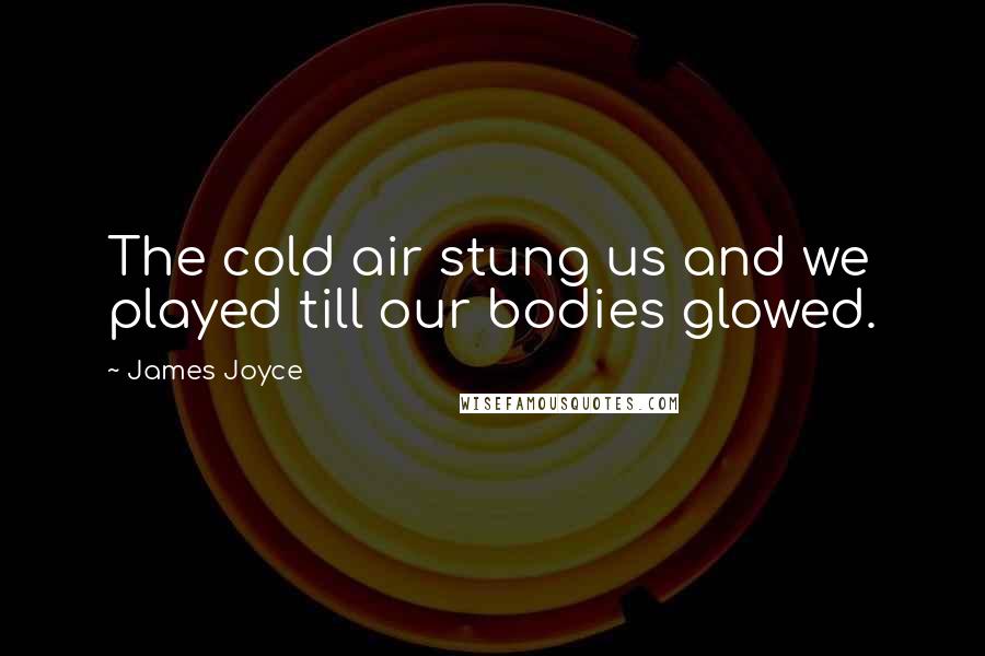 James Joyce Quotes: The cold air stung us and we played till our bodies glowed.