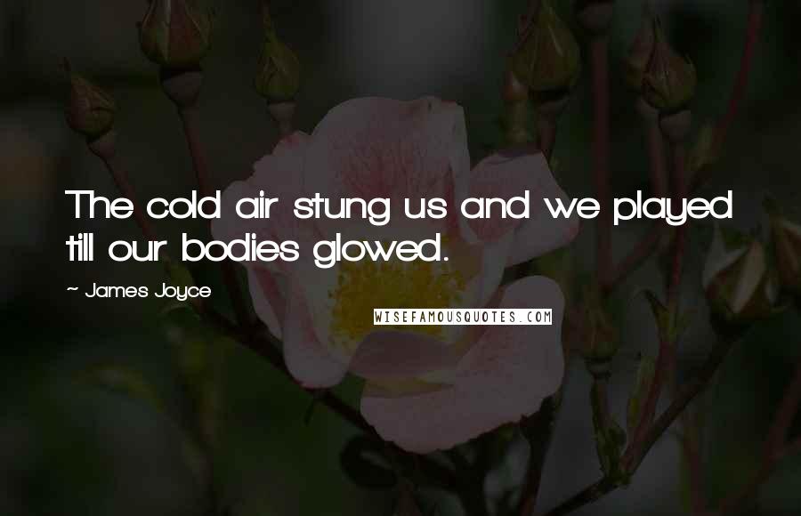 James Joyce Quotes: The cold air stung us and we played till our bodies glowed.
