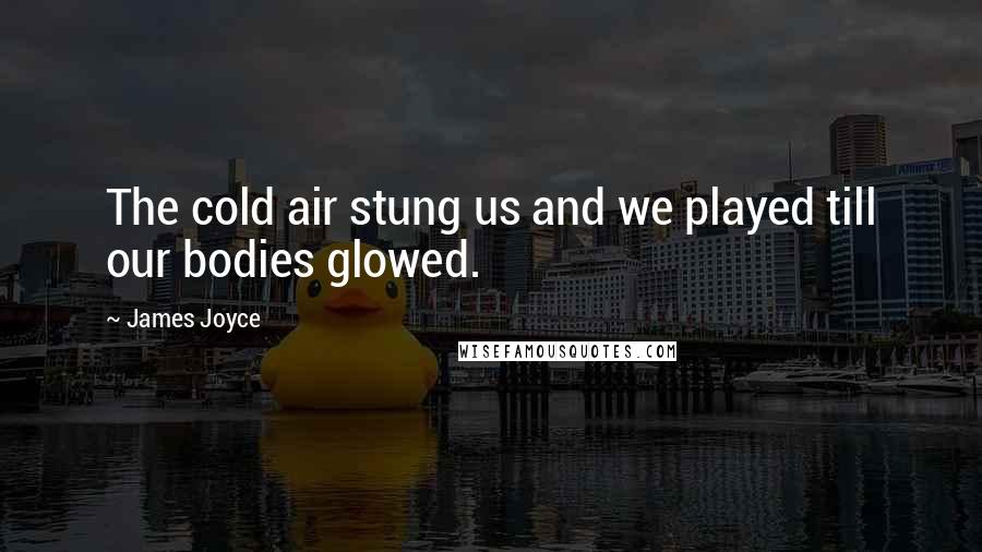 James Joyce Quotes: The cold air stung us and we played till our bodies glowed.