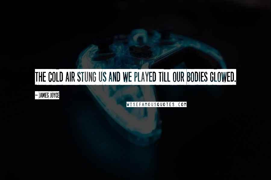 James Joyce Quotes: The cold air stung us and we played till our bodies glowed.