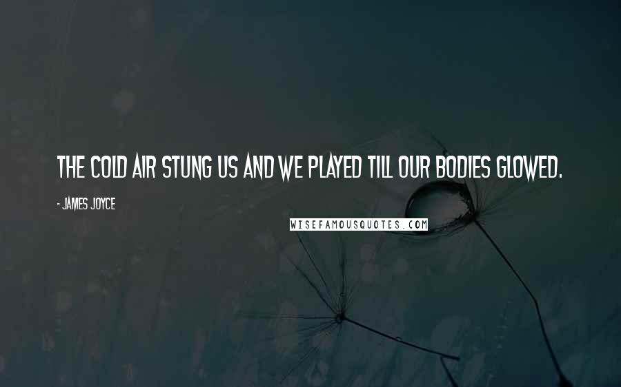 James Joyce Quotes: The cold air stung us and we played till our bodies glowed.