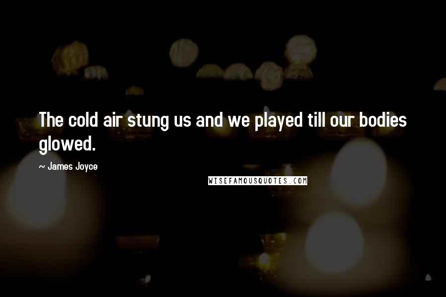 James Joyce Quotes: The cold air stung us and we played till our bodies glowed.