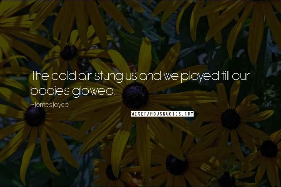 James Joyce Quotes: The cold air stung us and we played till our bodies glowed.