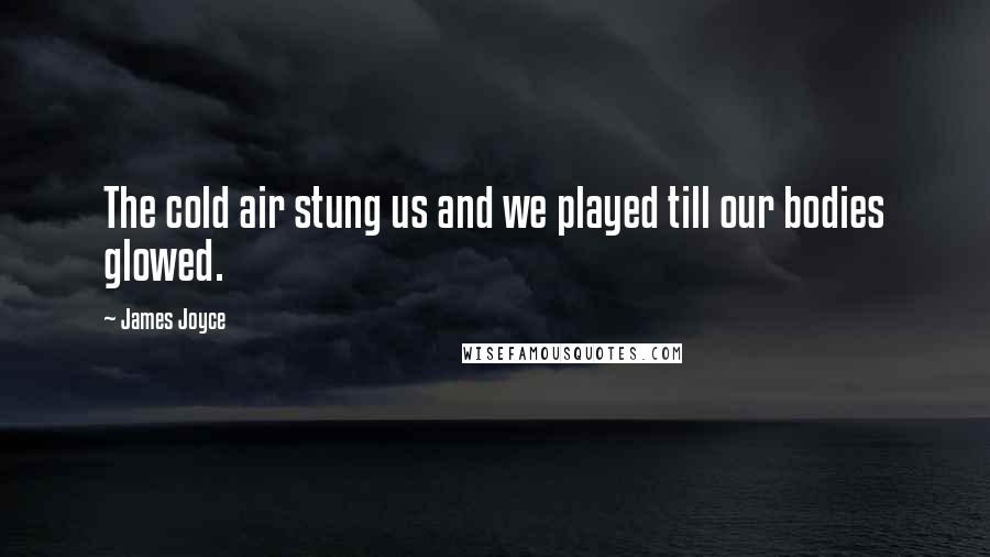 James Joyce Quotes: The cold air stung us and we played till our bodies glowed.