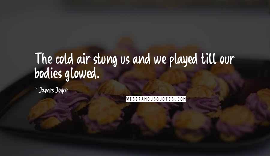 James Joyce Quotes: The cold air stung us and we played till our bodies glowed.